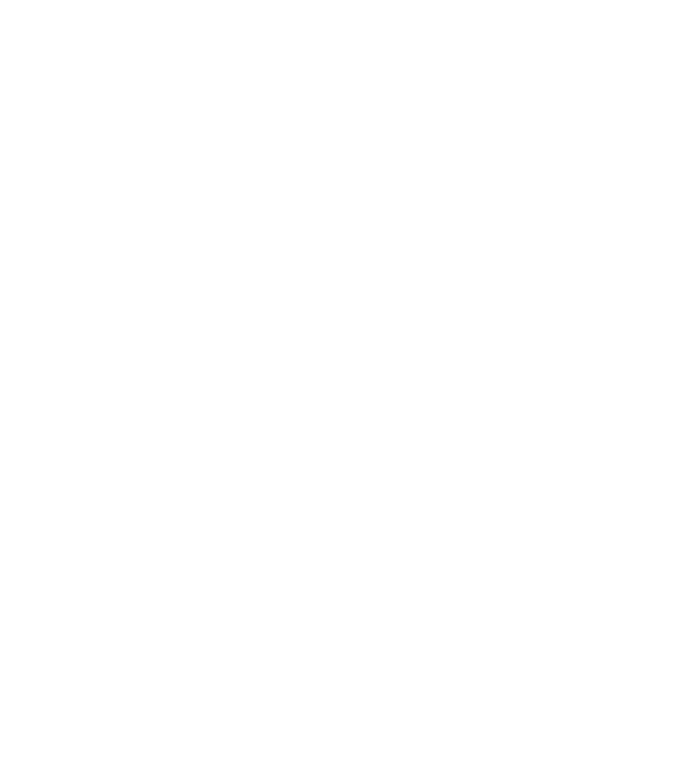 ConeSports
